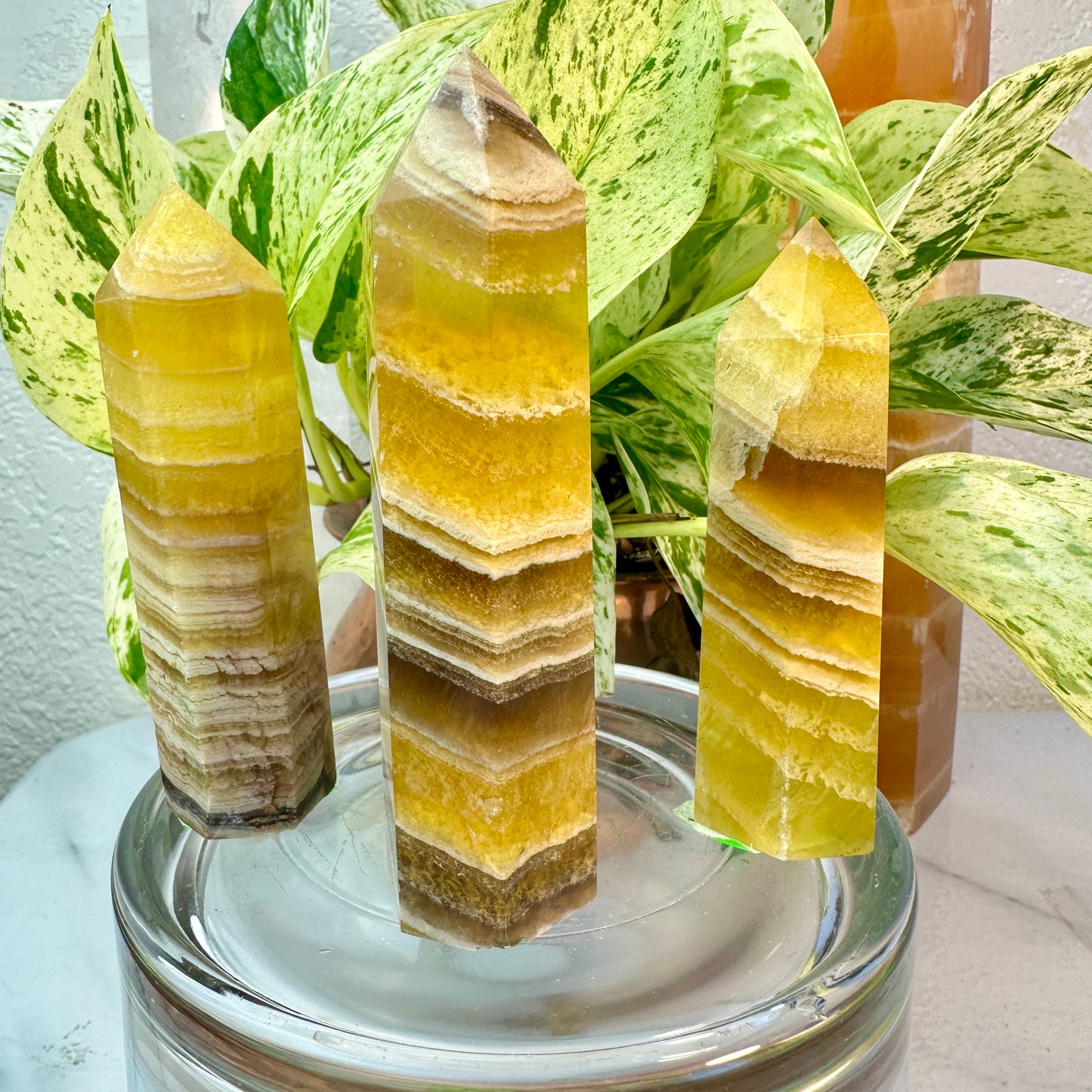 Banded Yellow Fluorite Points — 3.5 to 4 inch
Confidence | Focus | Mental Clarity