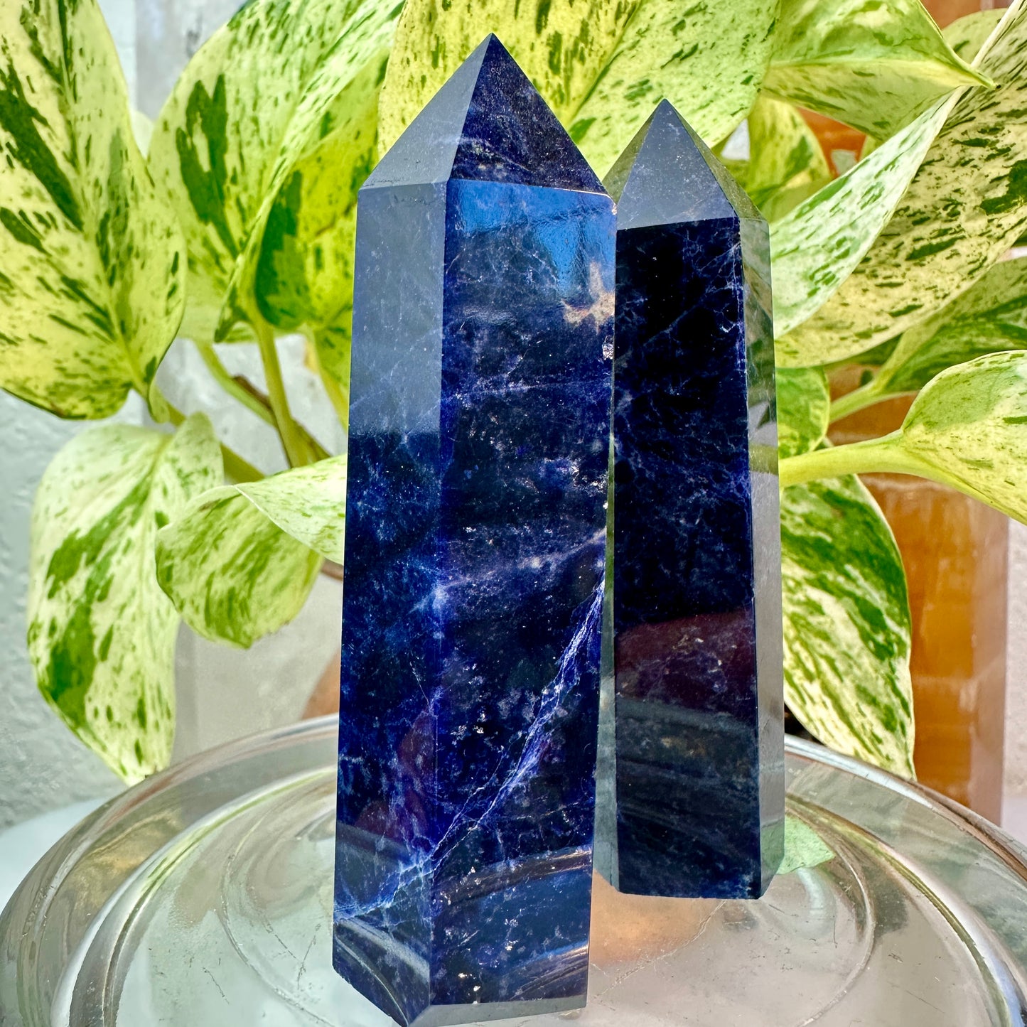 High Grade Sodalite Points — 3.4 inch
Truth | Intuition | Mental Clarity