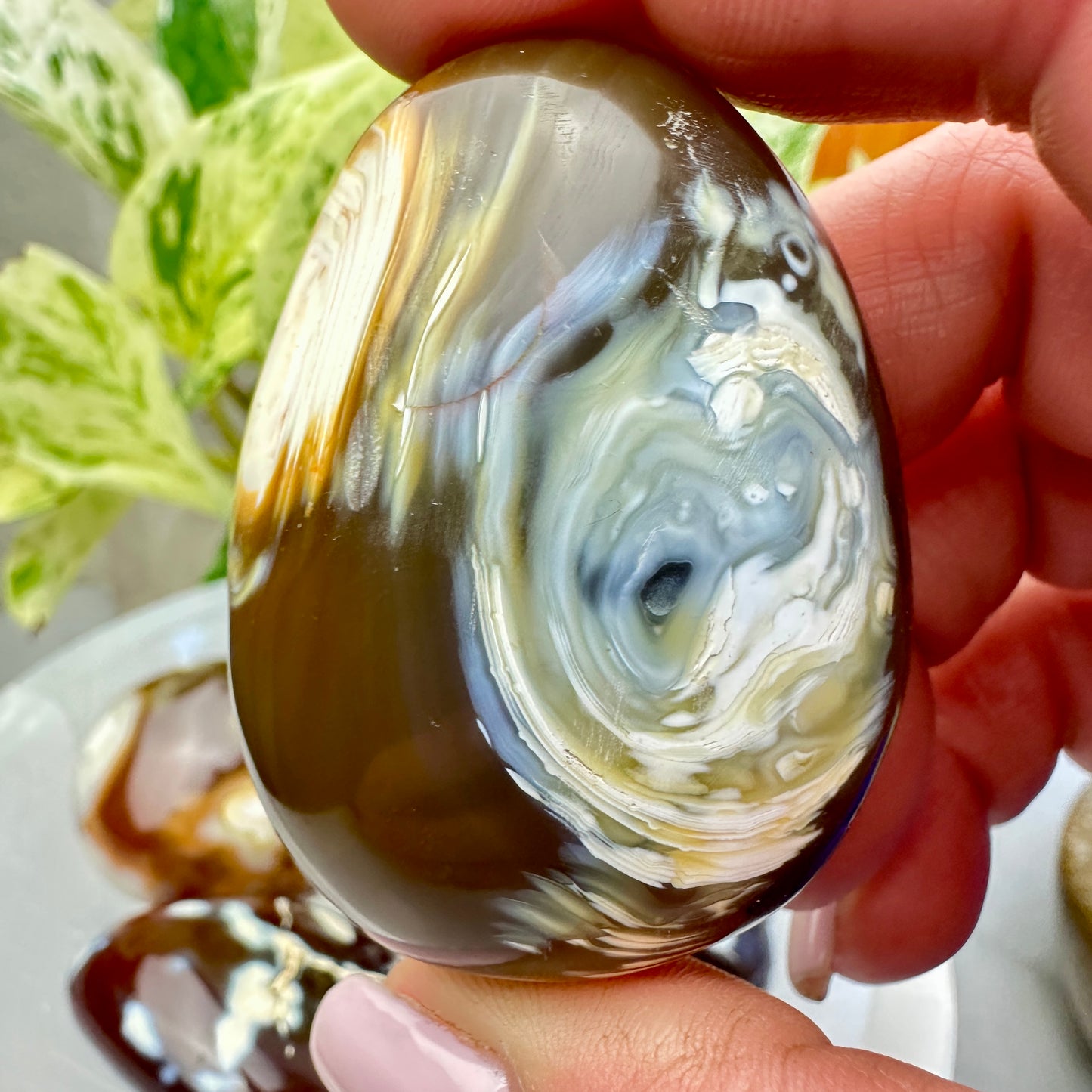 Carnelian Orca Agate Palm Stone - Katie's Mystic Crystals