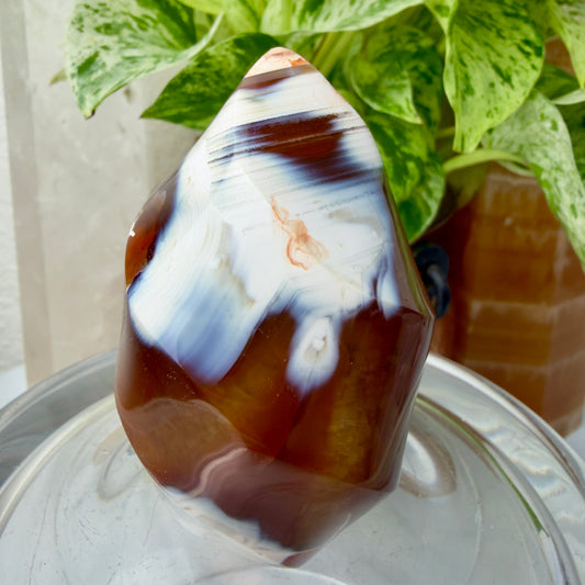 Carnelian Orca Agate Flames – Fiery Energy & Oceanic Calm (2.9” & 3”)