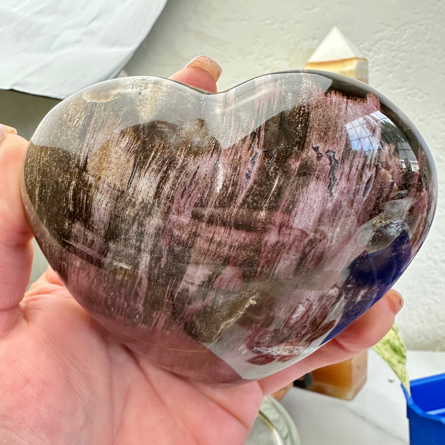 Petrified Wood Heart 1lb 2.7oz