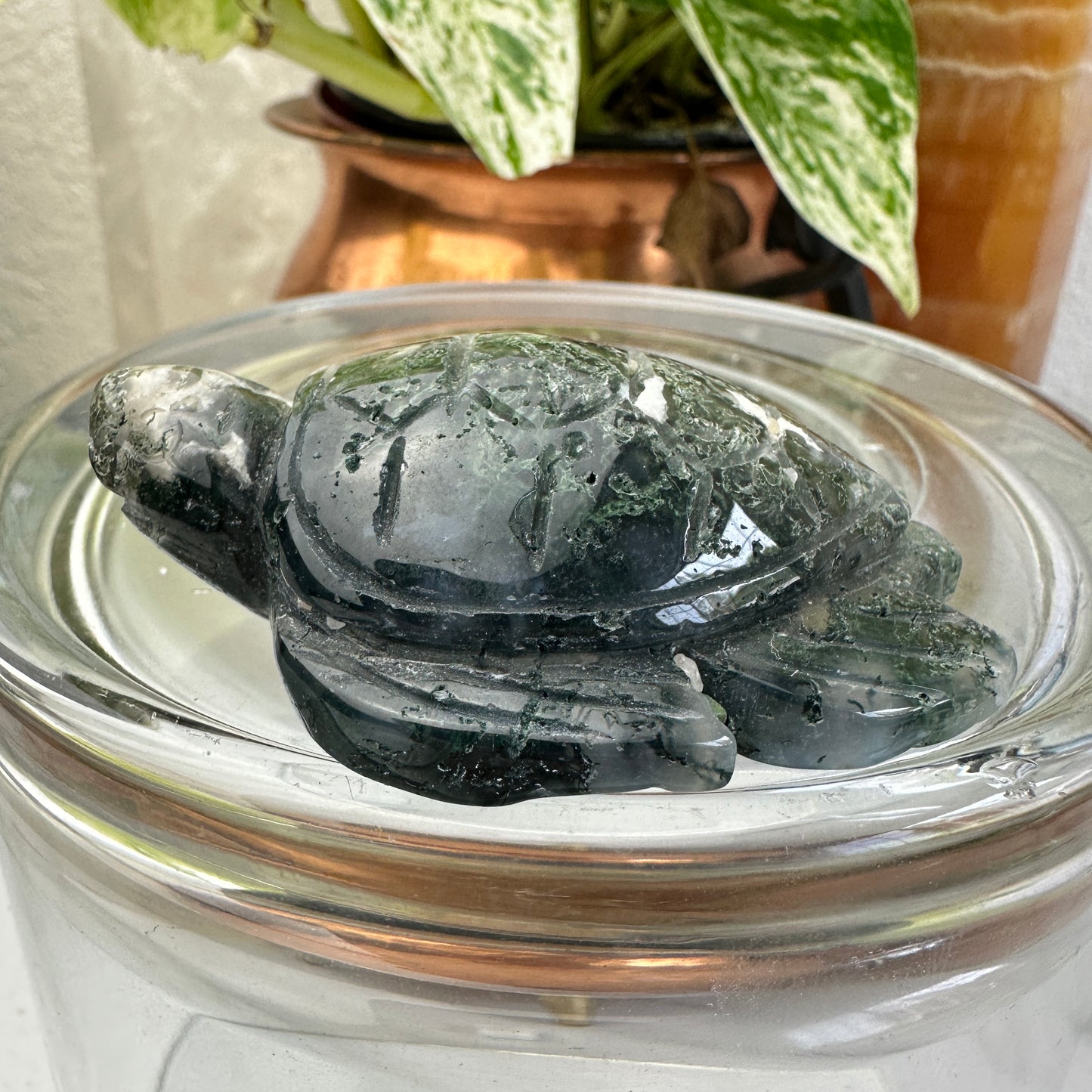 Moss Agate Sea Turtle
Grounding | Growth | Gentle Strength