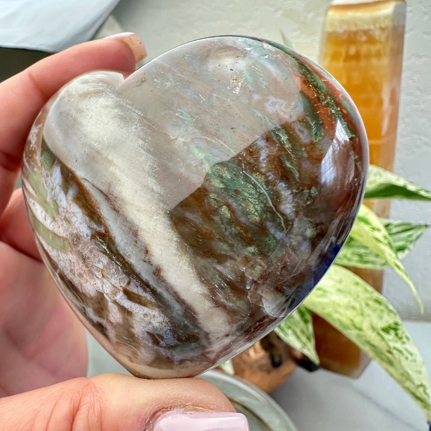 Petrified Wood Heart 6.9oz