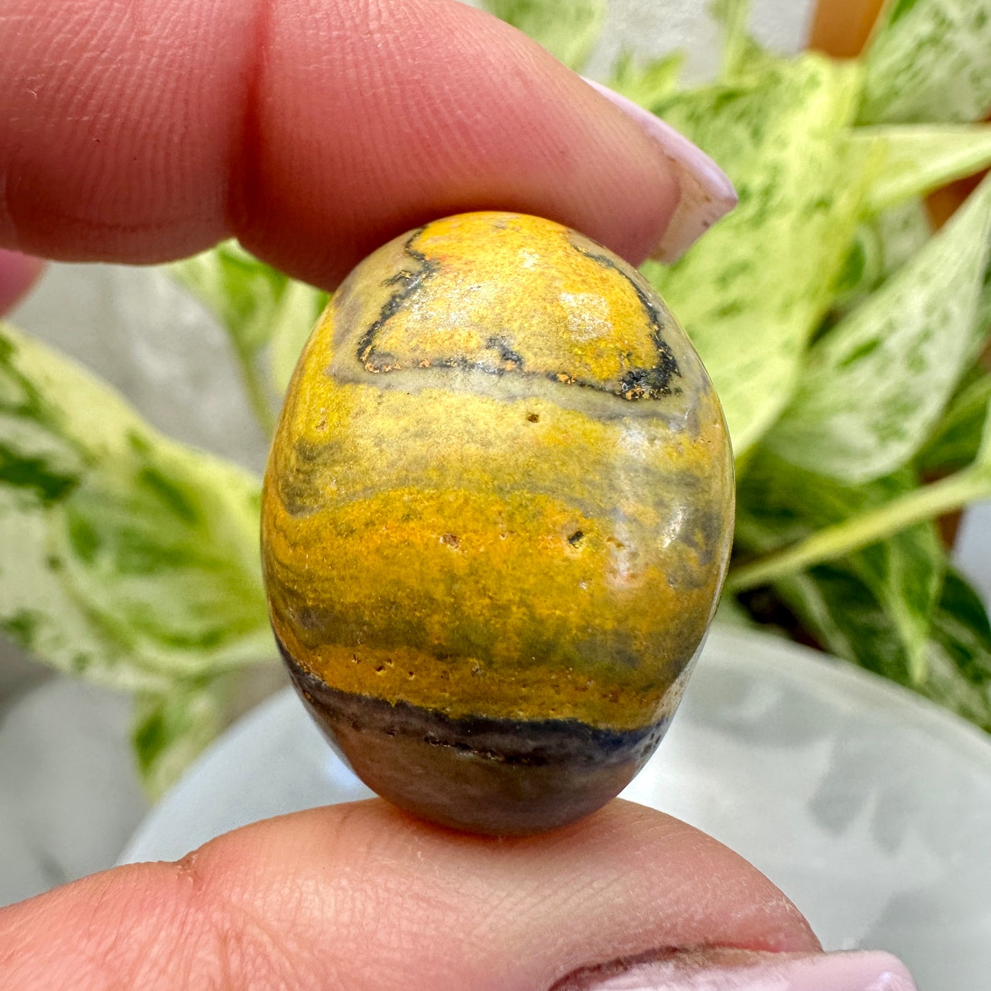 Bumblebee Jasper Tumbles - Katie's Mystic Crystals