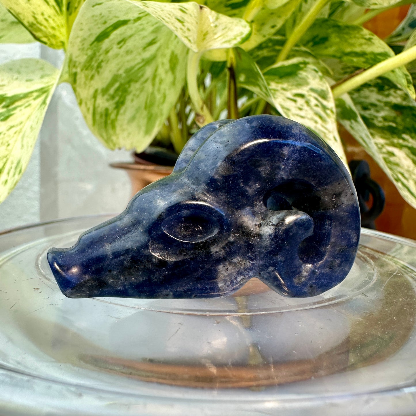 Crystal Ram Skulls — 2 inch
Zodiac Aligned | Power | Protection | Purpose