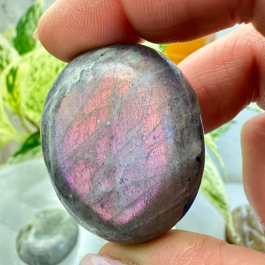 Labradorite Palm Stones - Katie's Mystic Crystals