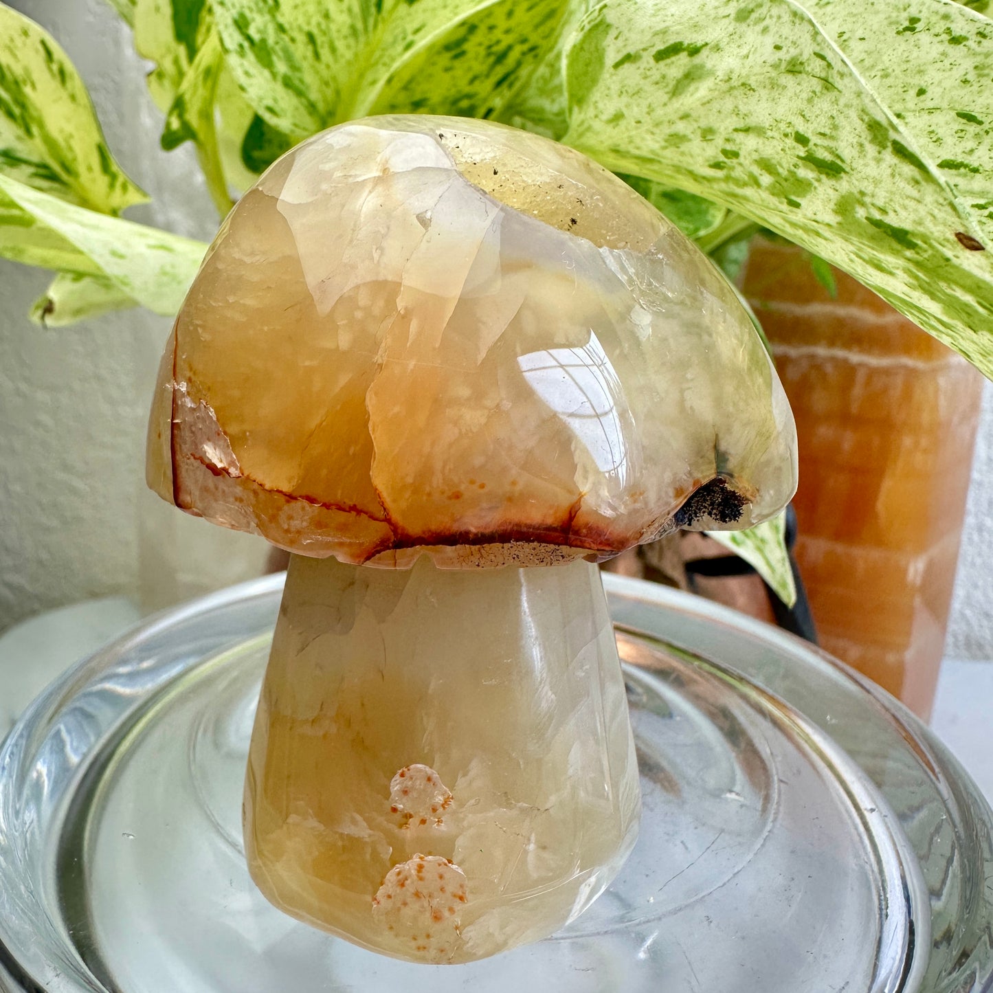 Agate Musbroom - 3 inch, 8oz