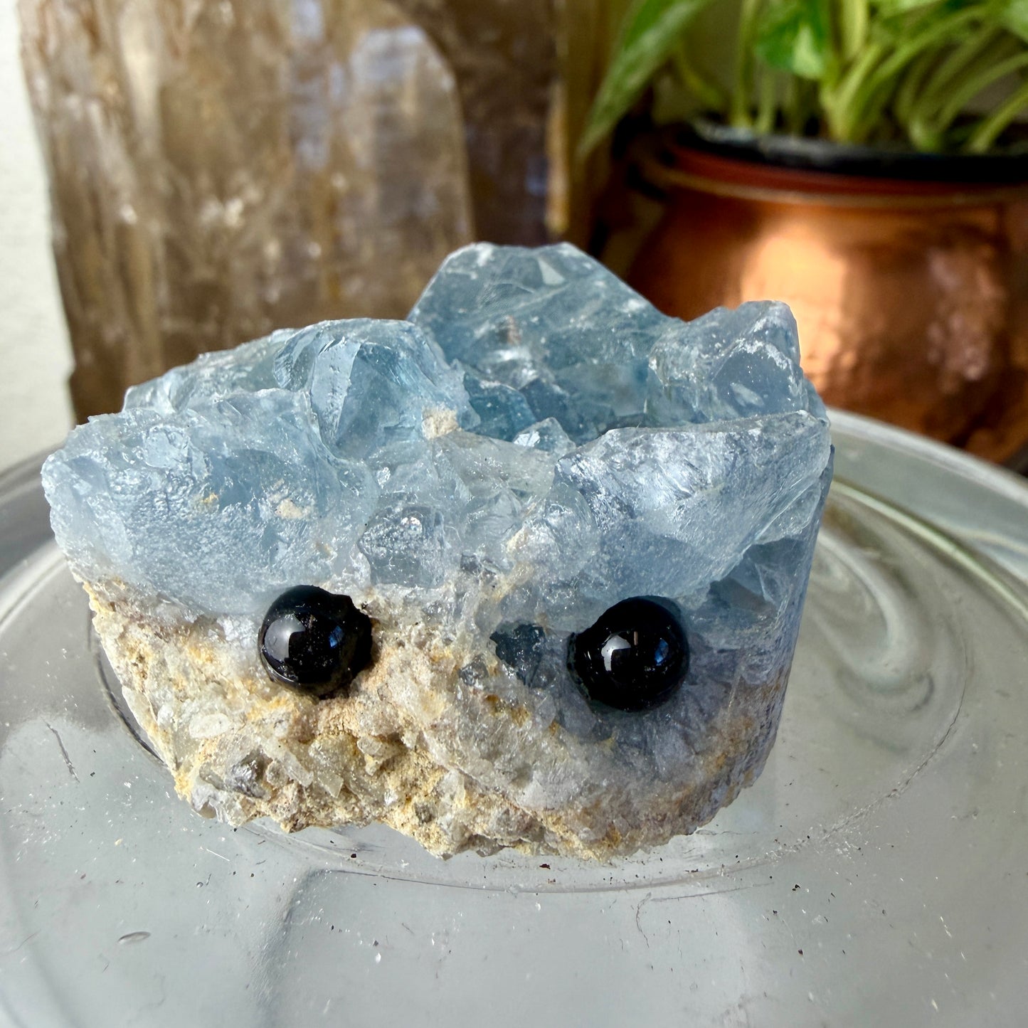 Crystal Critters - Specimen