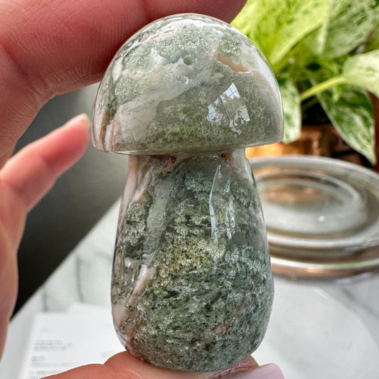 Moss Agate Mushrooms
Growth | Earth Energy | Emotional Balance