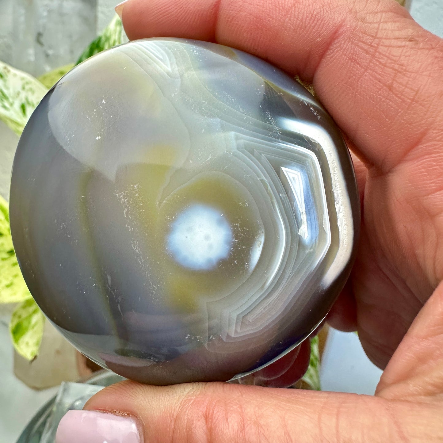 Orca Agate Palm Stone (D)