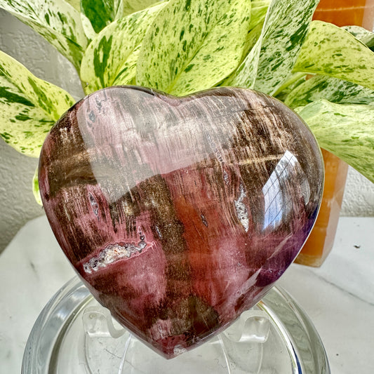 Petrified Wood Heart 1lb 2.7oz