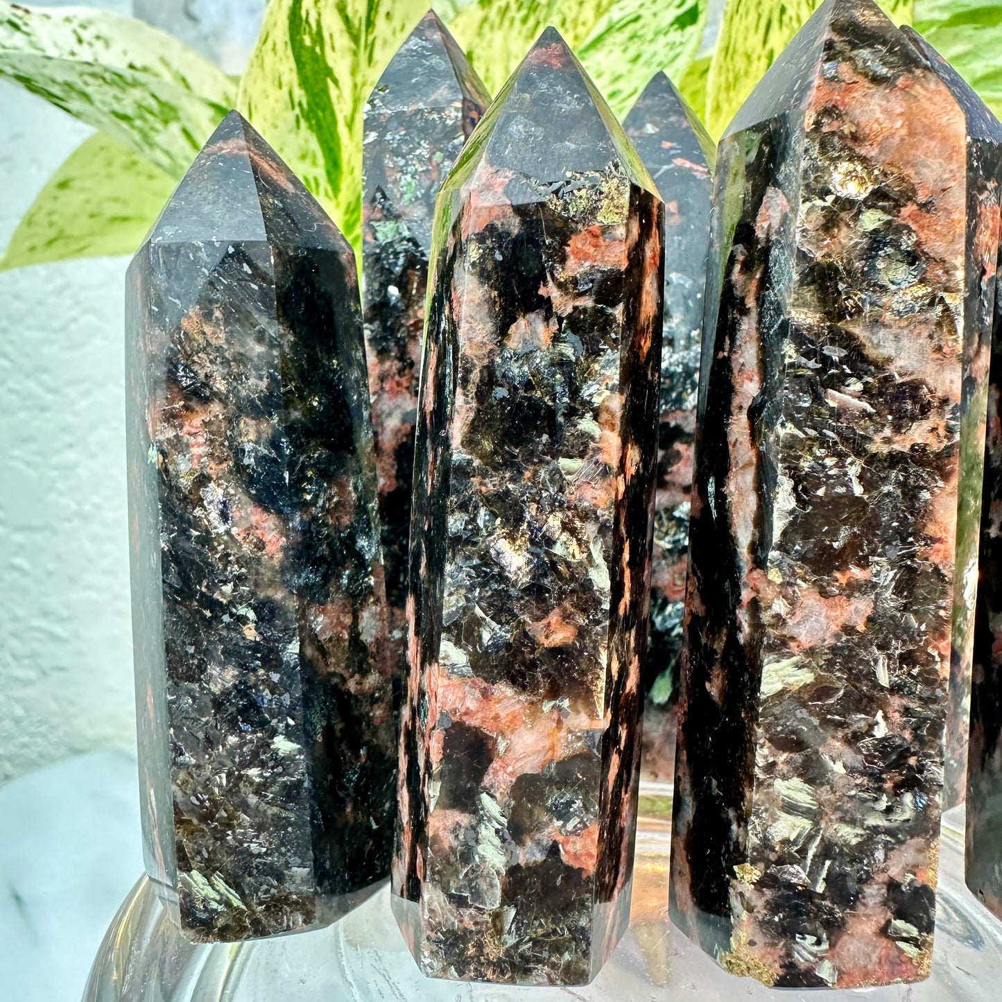 Quartz Tourmaline and Mica Points — 3.4 to 4 inch
Protection | Grounding | Energy Amplification
✨ Intuitive Pick ✨