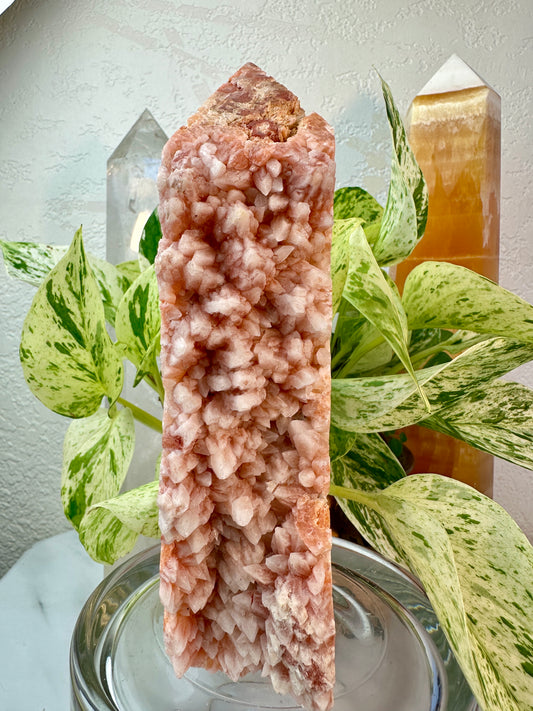 Large Pork Stone Tower — 1 lb 10.7 oz
Stability | Courage | Inner Strength - Katie's Mystic Crystals
