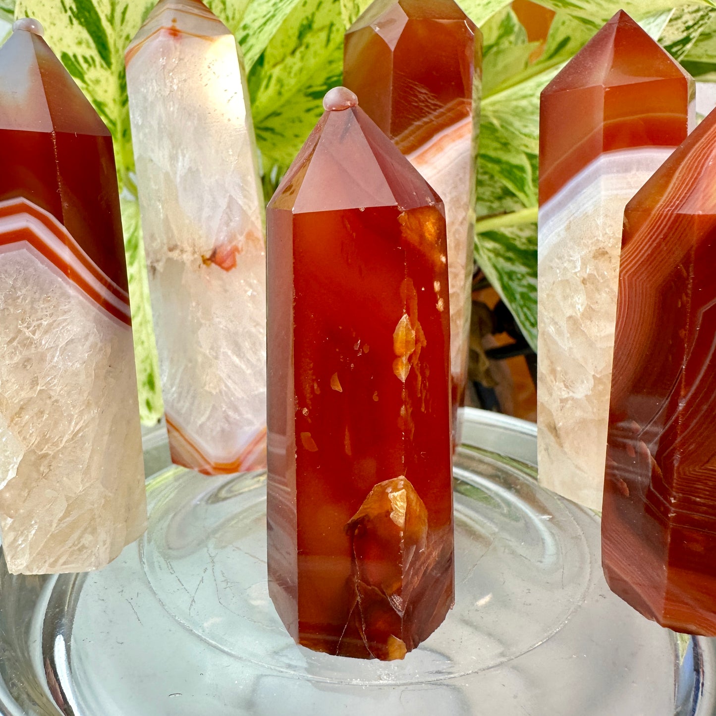 Carnelian Agate Points
Vitality | Creativity | Confidence