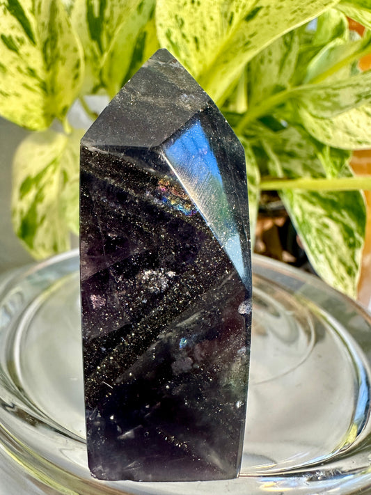 Pyrite in Fluorite Raw Edge Tower — E
2.5 in tall × 1.4 in wide × 0.9 in thick | 4.8 oz
Mental Clarity | Abundance | Grounded Confidence - Katie's Mystic Crystals
