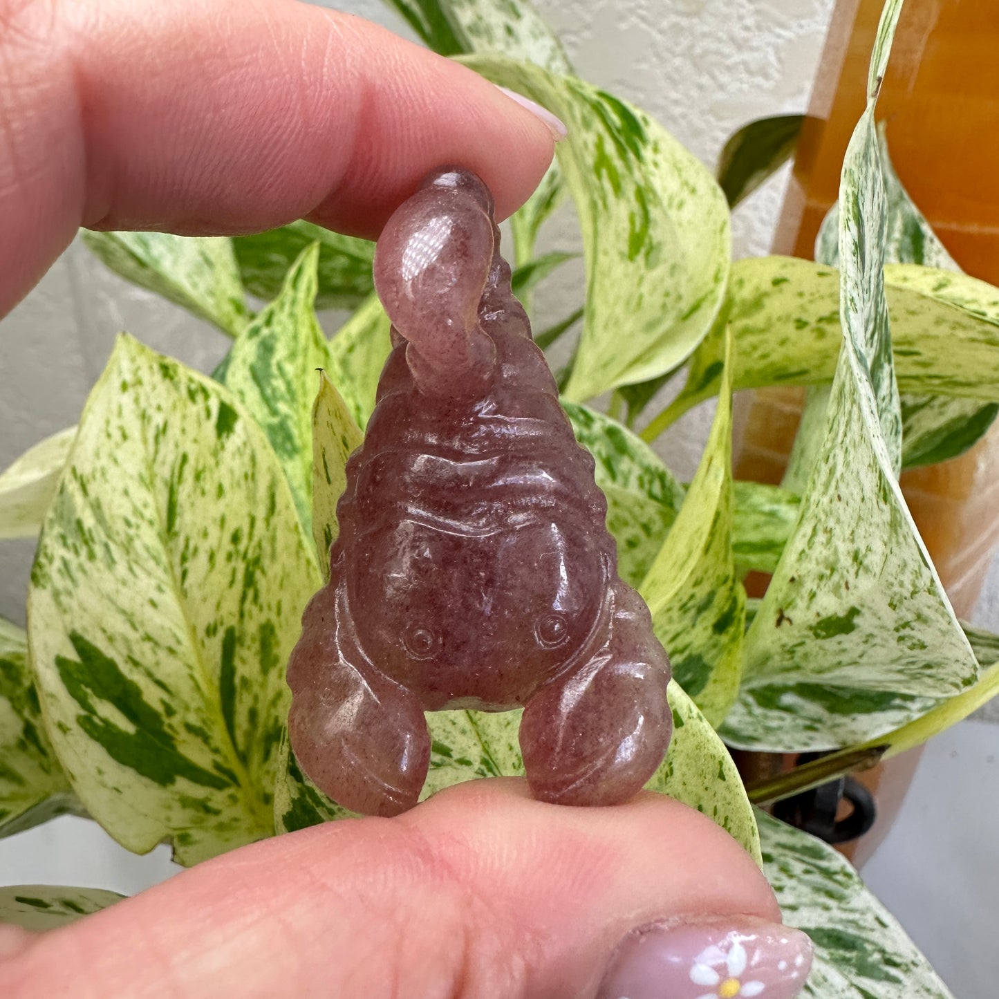 Scorpion Carving - 2 inch - Katie's Mystic Crystals