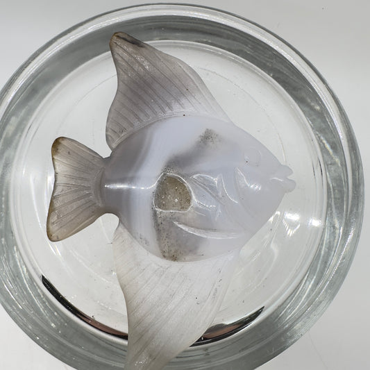 Ocean Carvings - Katie's Mystic Crystals