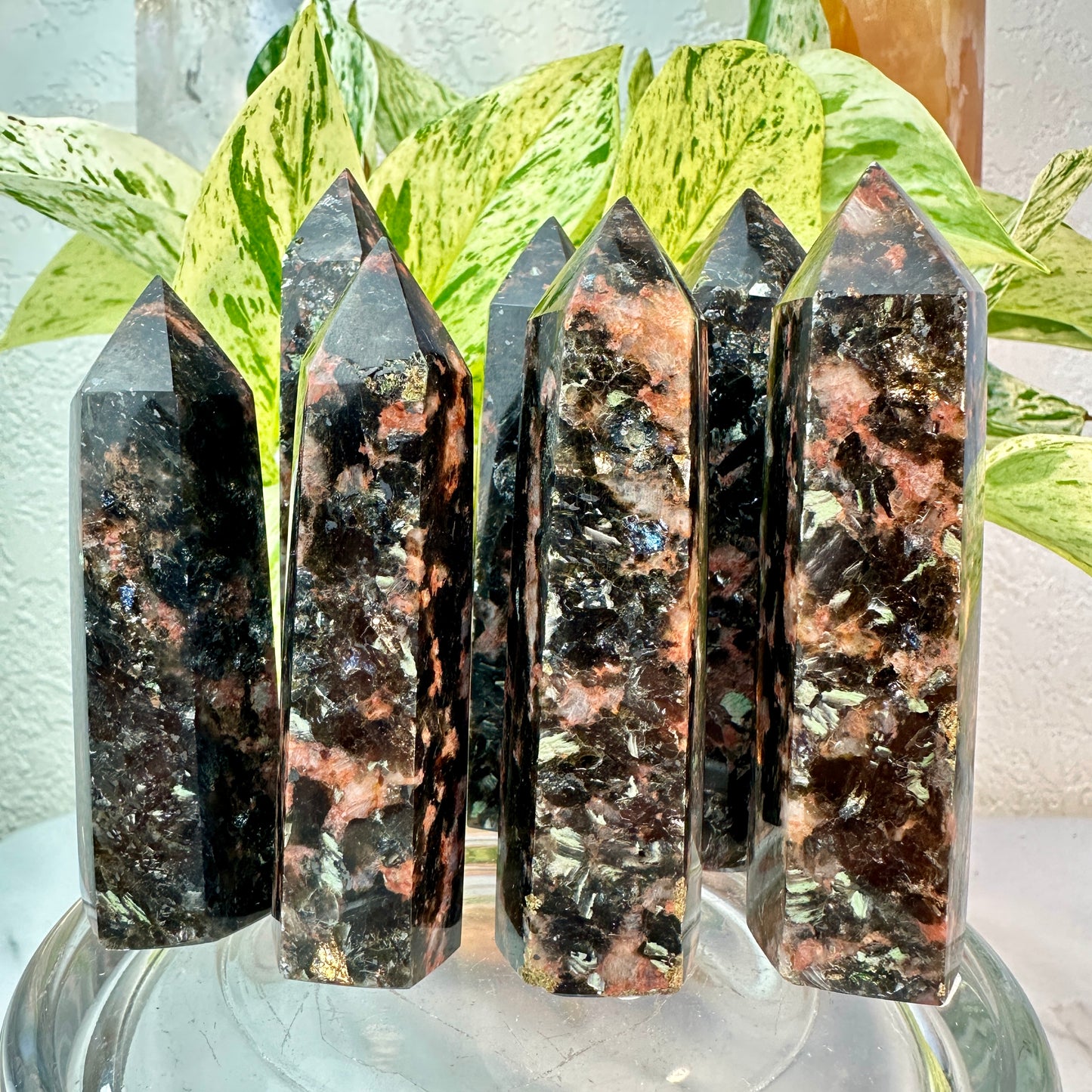 Quartz Tourmaline and Mica Points — 3.4 to 4 inch
Protection | Grounding | Energy Amplification
✨ Intuitive Pick ✨