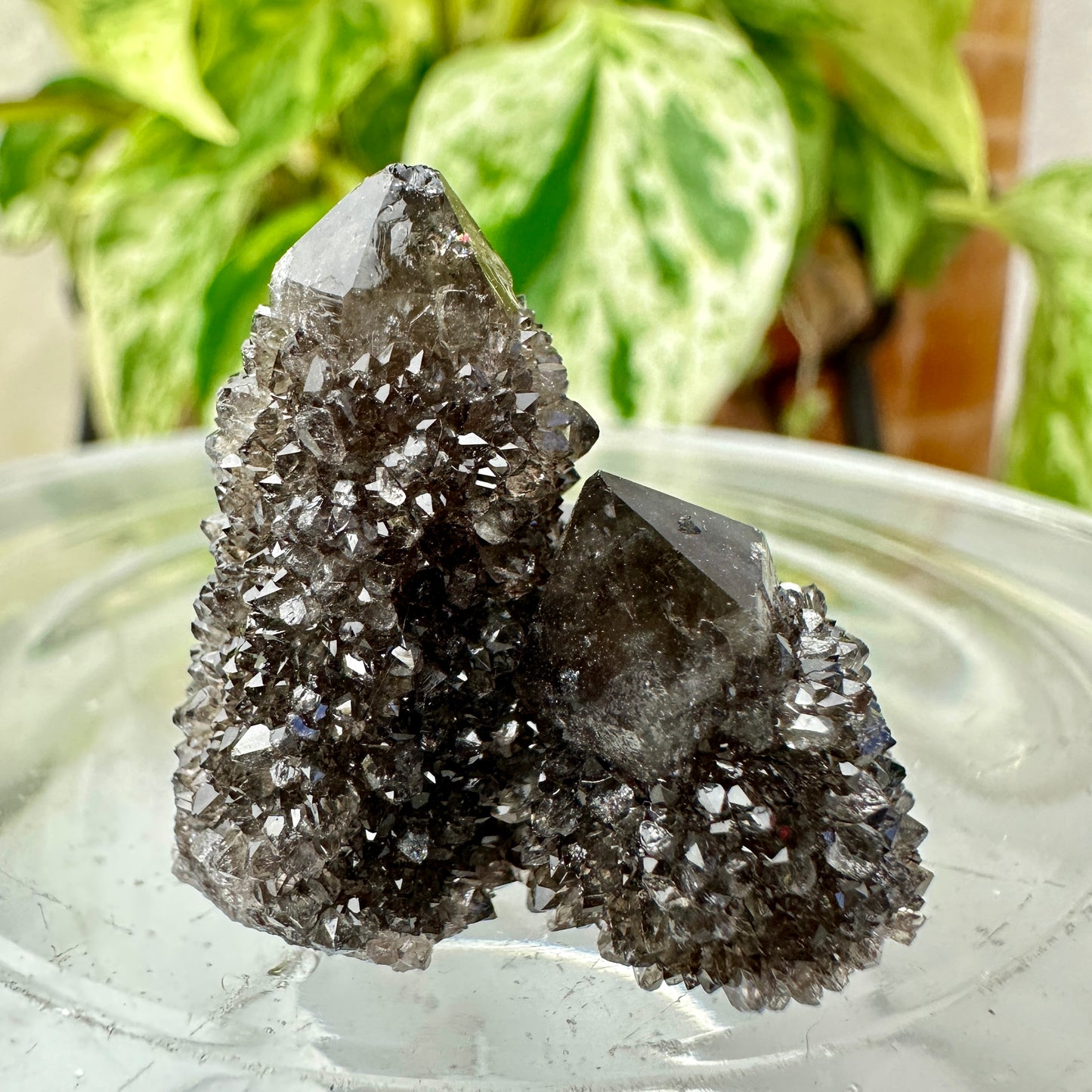 Smoky Spirit Quartz Clusters – Ethereal Light + Protective Energy (A: 20g | B: 16g)