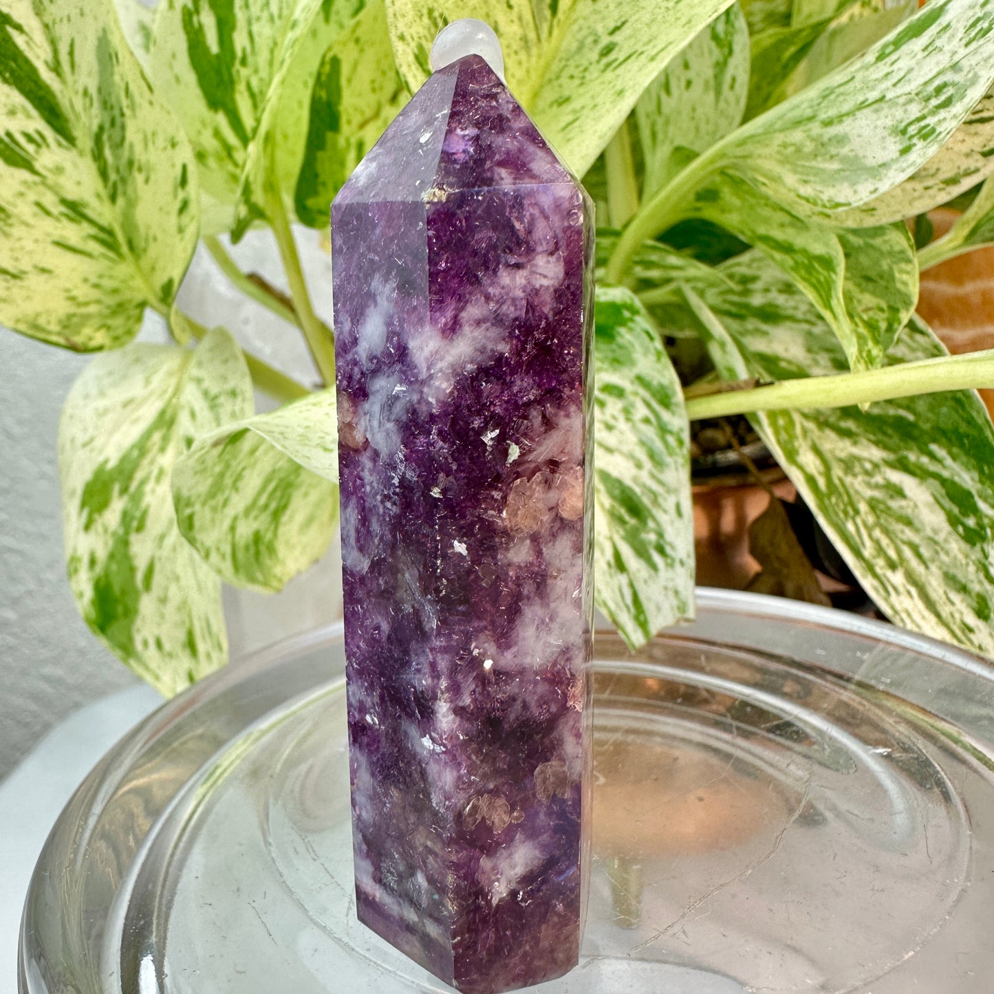 Lithium Mica & Pink Tourmaline Point — 3 inch
Emotional Healing | Self-Love | Gentle Balance