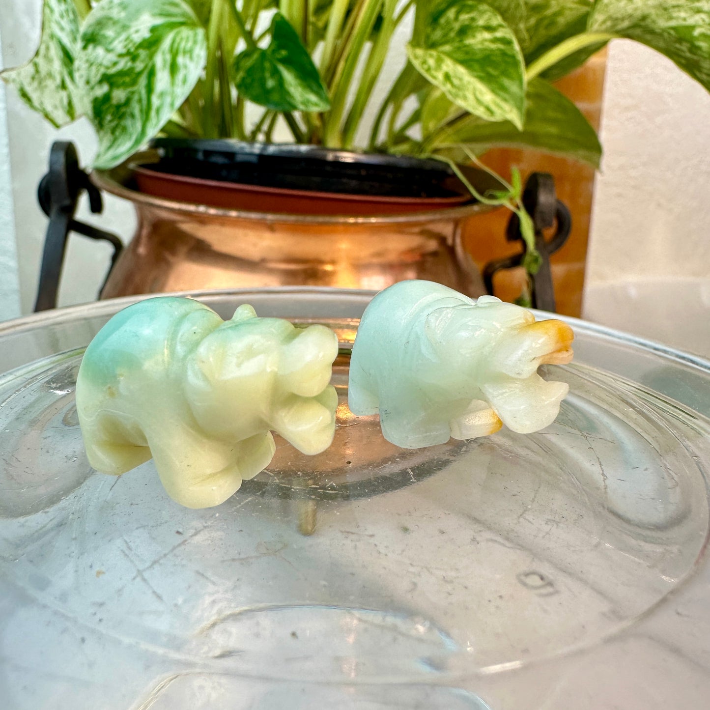 Micro Mini Crystal Hippos — Under 1 Inch
Gentle Strength • Emotional Balance • Playful Spirit