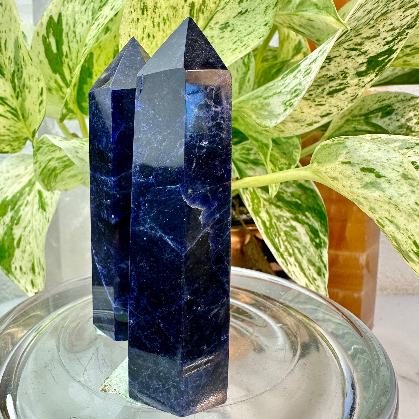 High Grade Sodalite Points — 3.4 inch
Truth | Intuition | Mental Clarity
