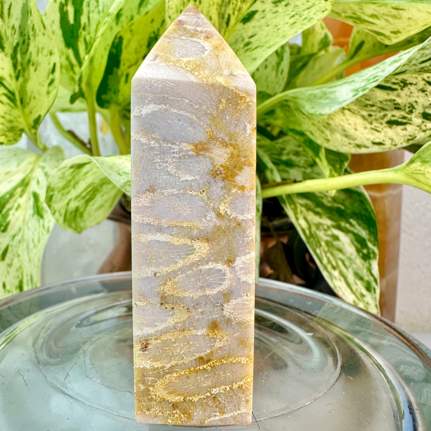 Coral Jasper Tower — 2.8 inch
Grounding | Vitality | Earth Connection