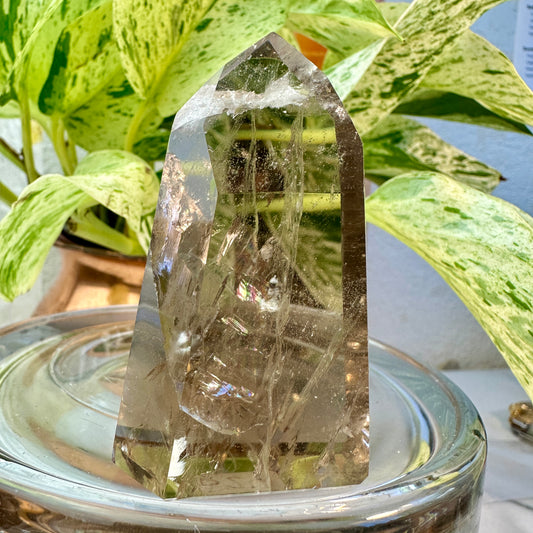 Smoky Quartz Points — High Quality | From Brazil
Grounding | Protection | Transformation - Katie's Mystic Crystals