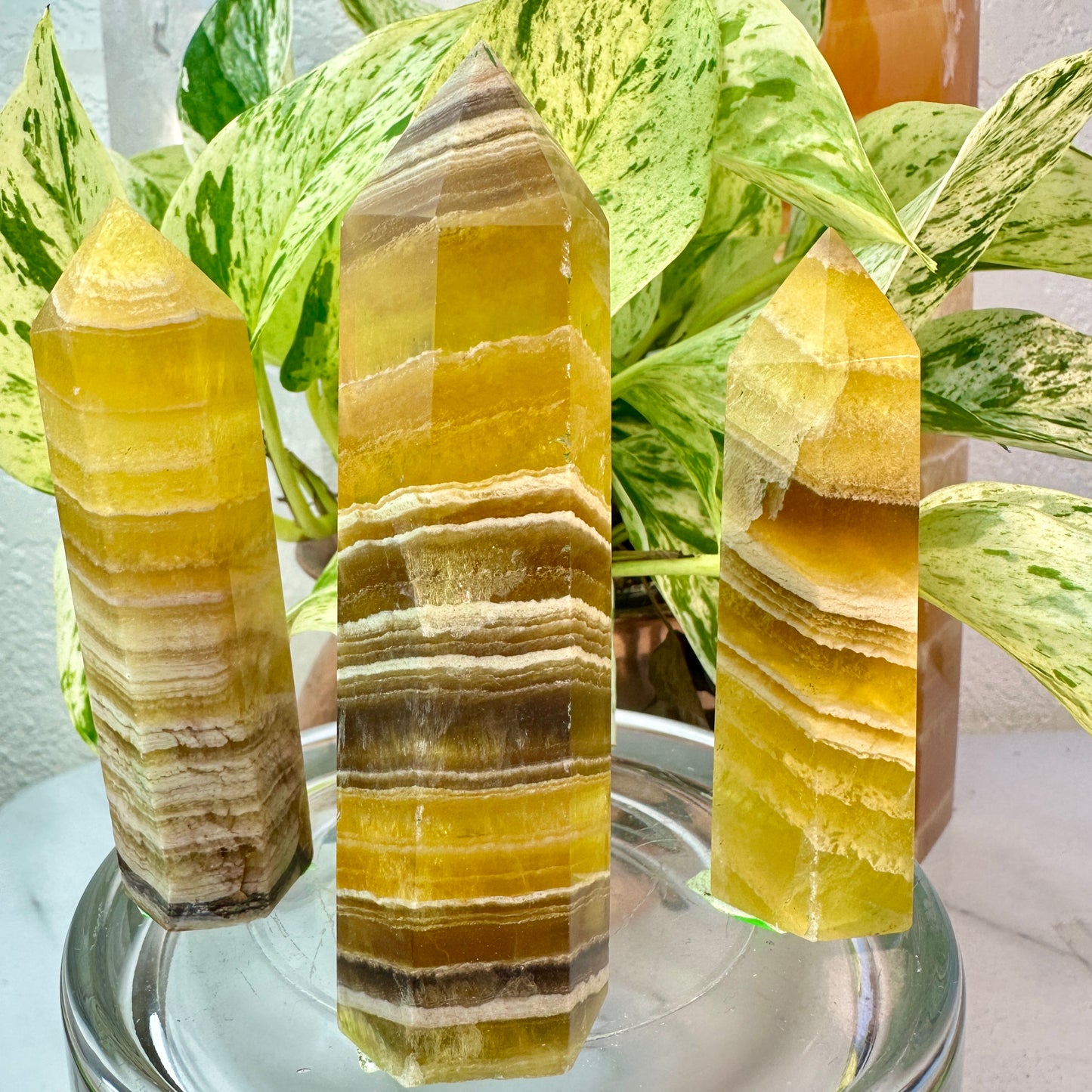Banded Yellow Fluorite Points — 3.5 to 4 inch
Confidence | Focus | Mental Clarity
