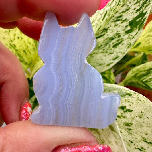 Blue Lace Agate Cat - Katie's Mystic Crystals