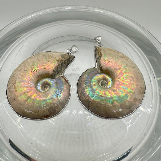 Ammonite Pair Pendants