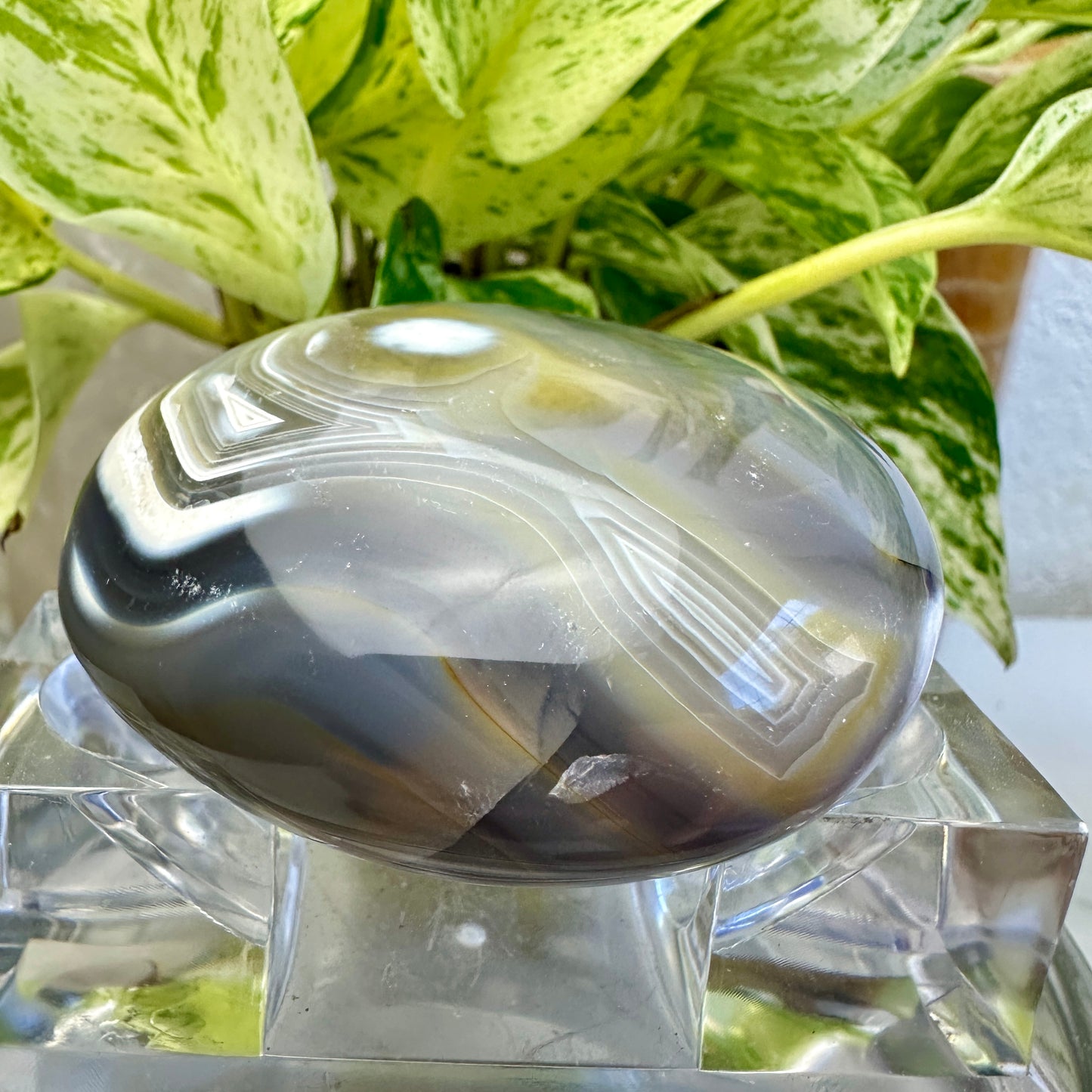 Orca Agate Palm Stone (D)