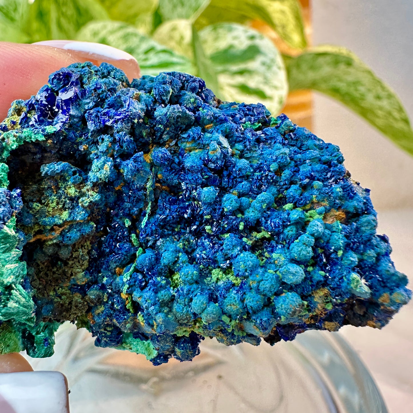 Azurite & Malachite Specimen — 36 grams | Morocco
Third Eye Activation | Transformation | Heart Healing