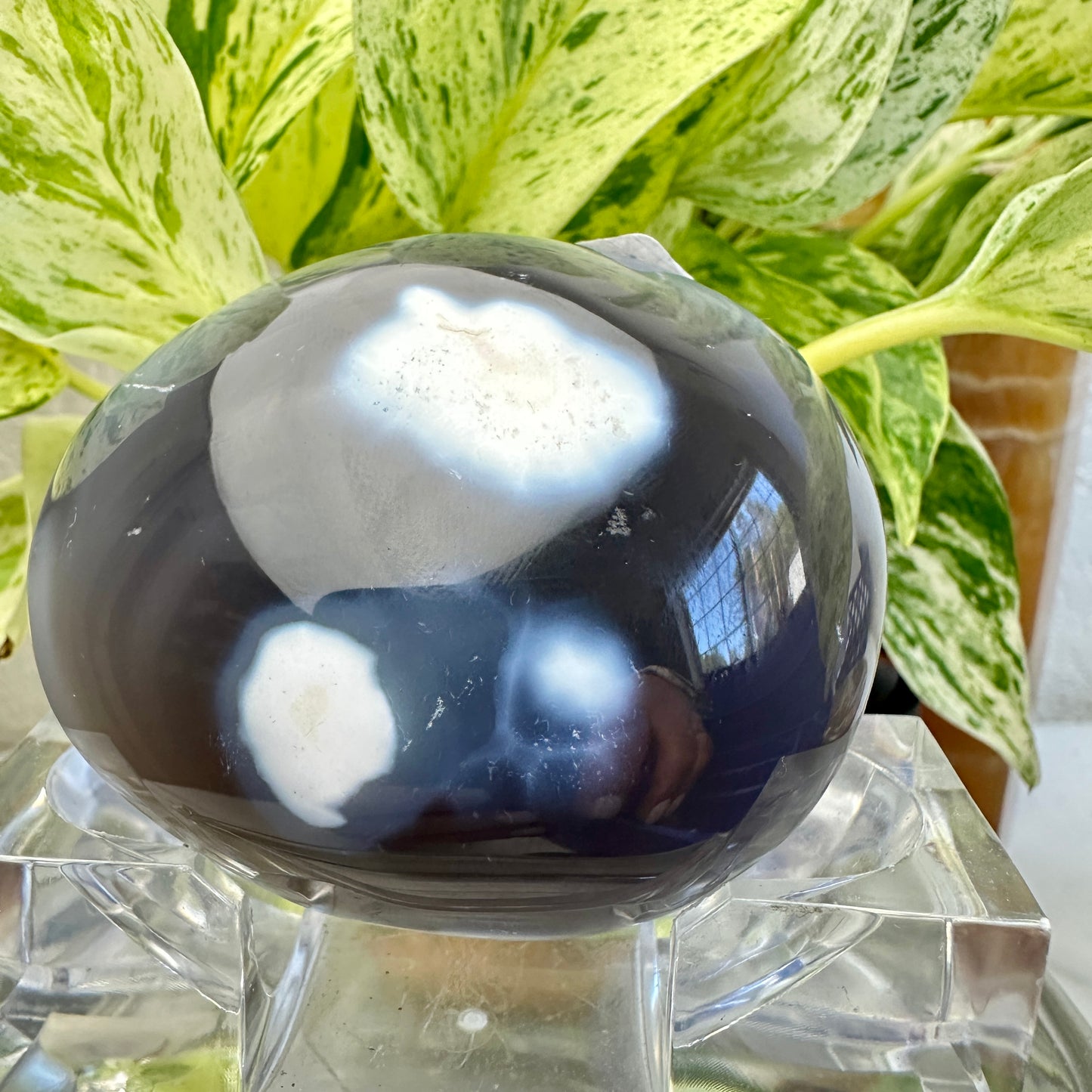 Orca Agate Palm Stone (E)