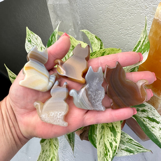 Agate Slab Cat