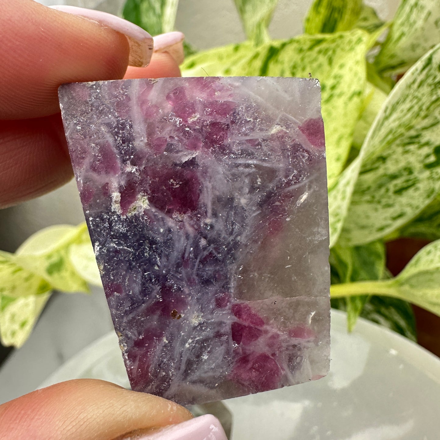 Unicorn Stone Gushers (Freeforms)
Emotional Healing | Soothing | Inner Magic
