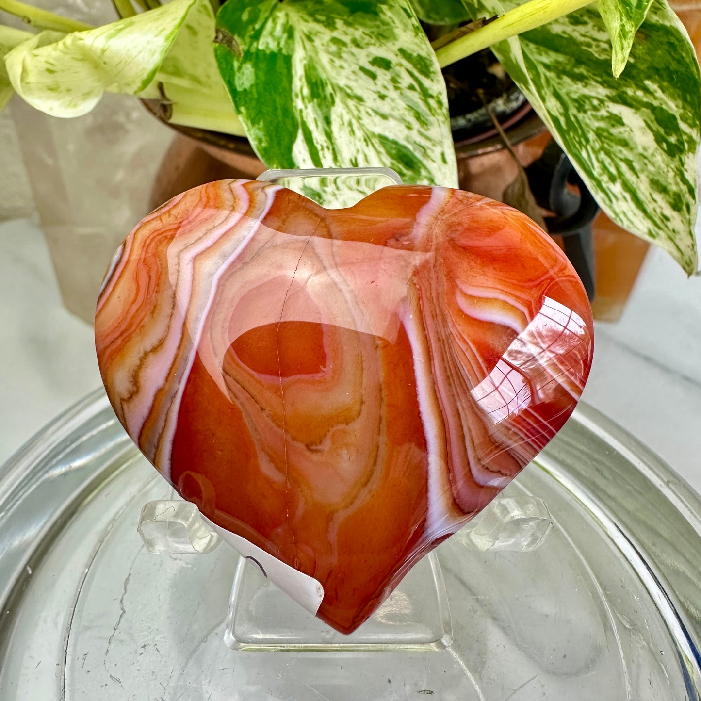Carnelian Agate Hearts