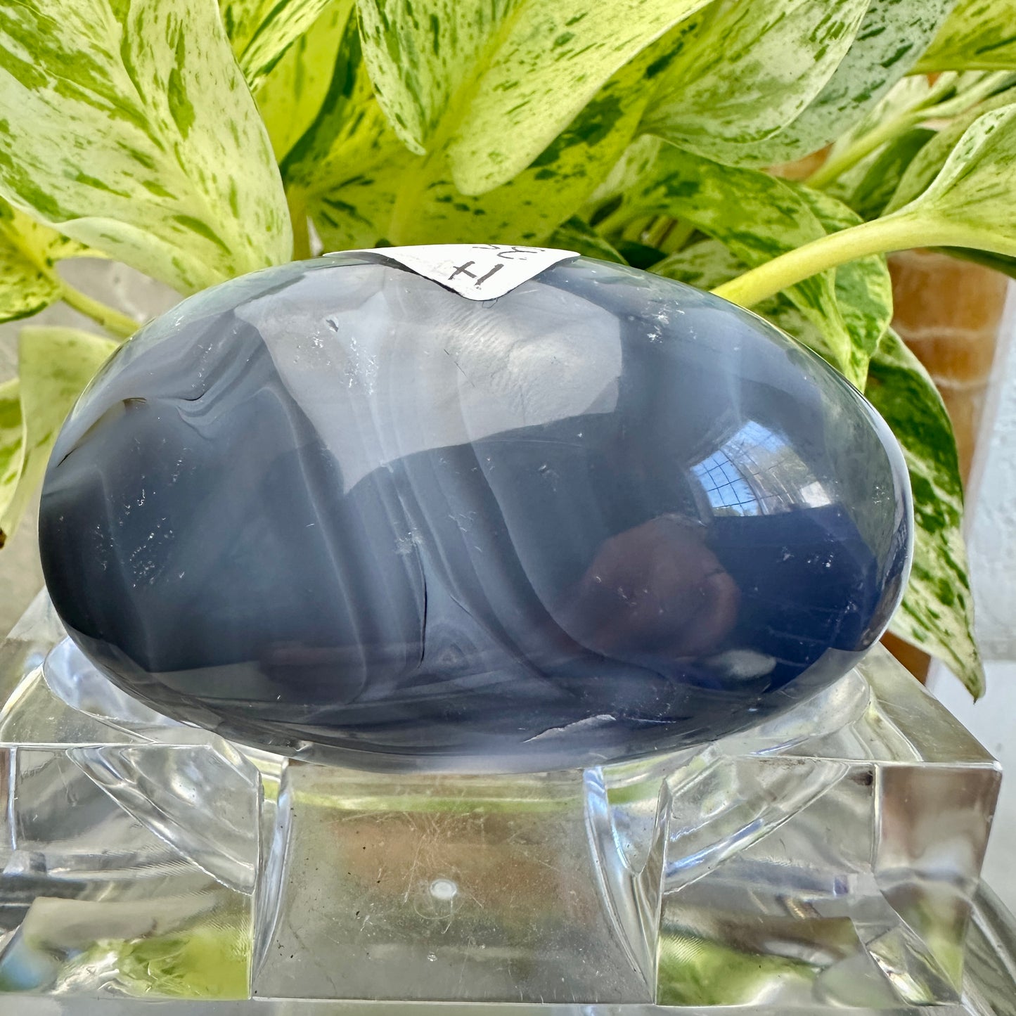 Orca Agate Palm Stone (H)