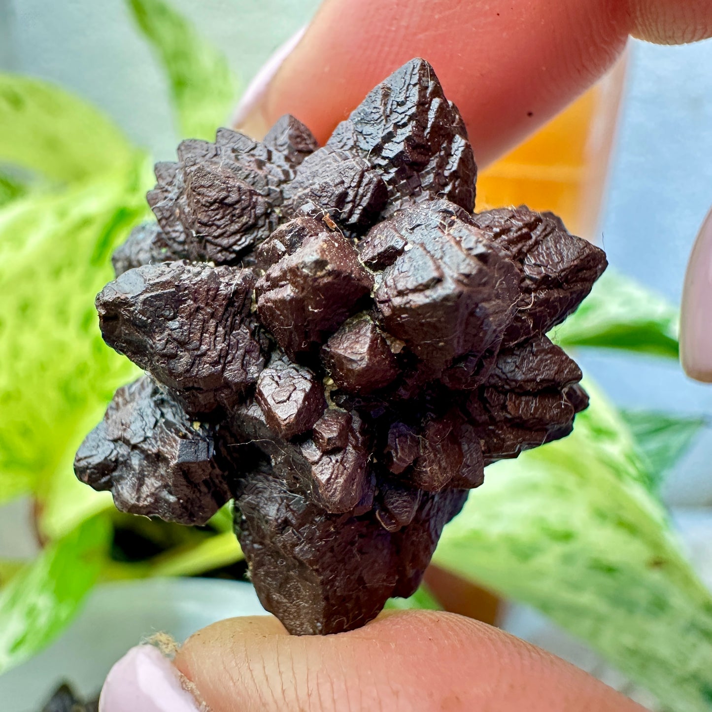 Prophecy Stone - Vision | Deep Meditation | Earth-Star Connection