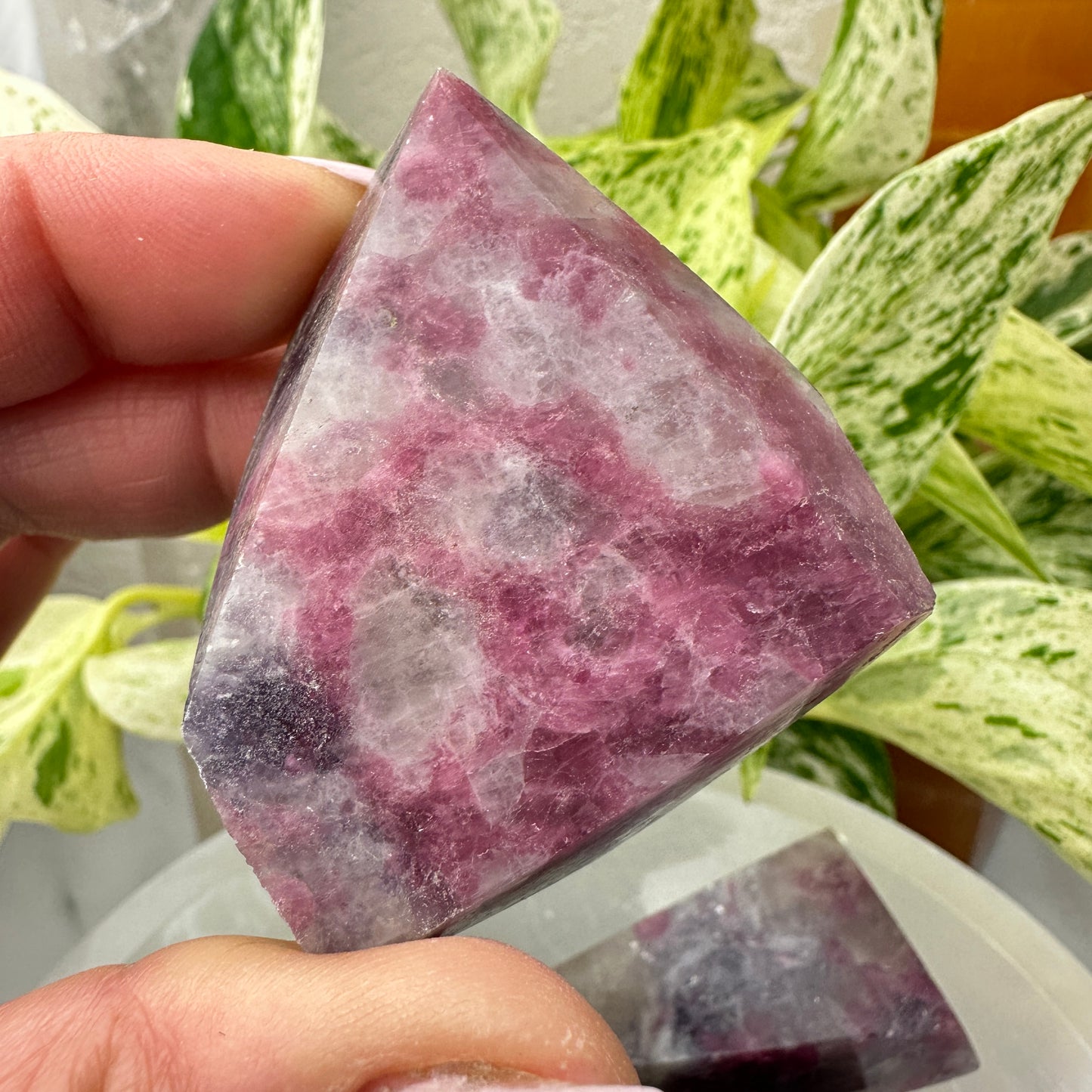 Unicorn Stone Gushers (Freeforms)
Emotional Healing | Soothing | Inner Magic