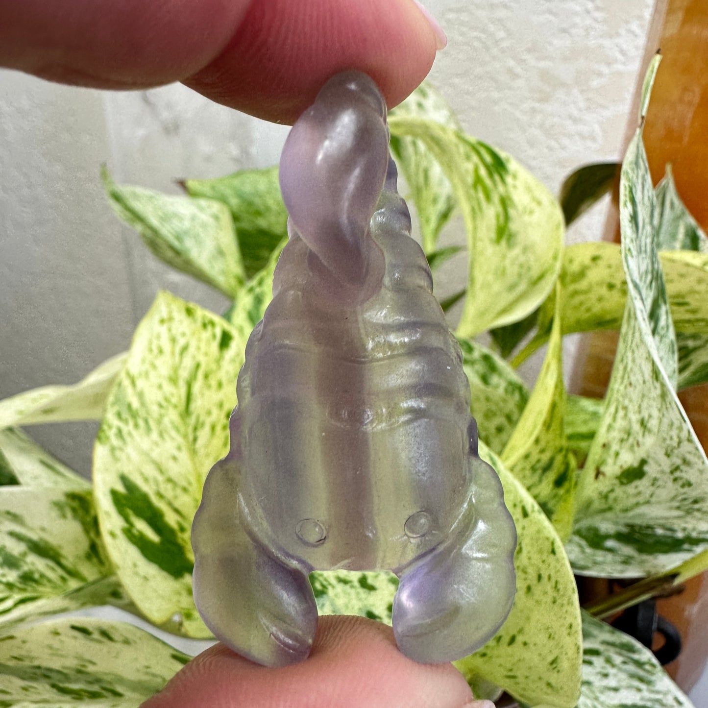 Scorpion Carving - 2 inch - Katie's Mystic Crystals