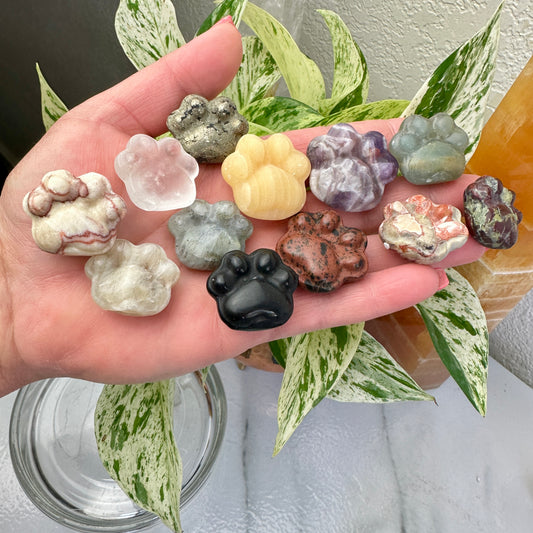Crystal Pet Paw