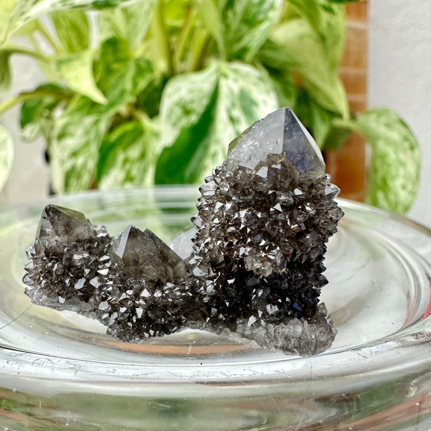 Smoky Spirit Quartz Clusters – Ethereal Light + Protective Energy (A: 20g | B: 16g)