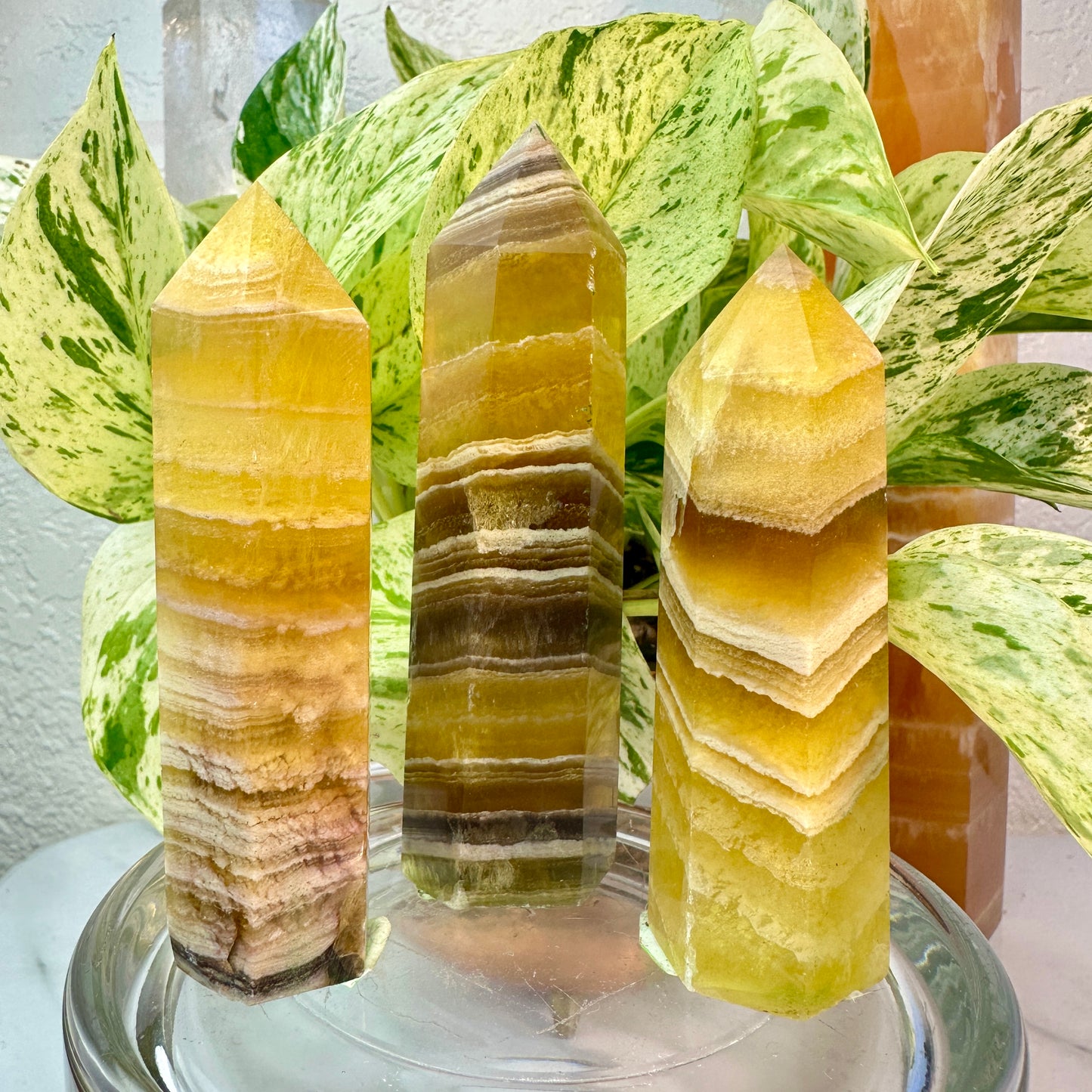 Banded Yellow Fluorite Points — 3.5 to 4 inch
Confidence | Focus | Mental Clarity