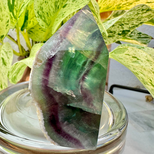 Rainbow Fluorite Raw Edge Tower — 3 inch | 6.8 oz
Focus | Clarity | Aura Cleansing