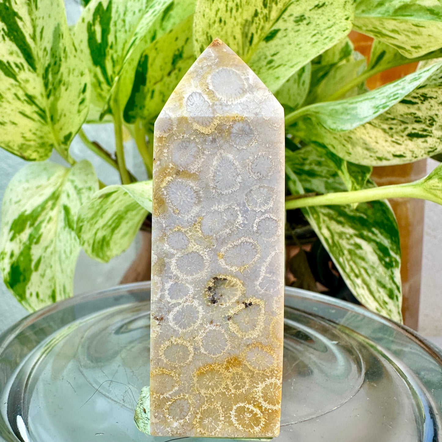 Coral Jasper Tower — 2.8 inch
Grounding | Vitality | Earth Connection