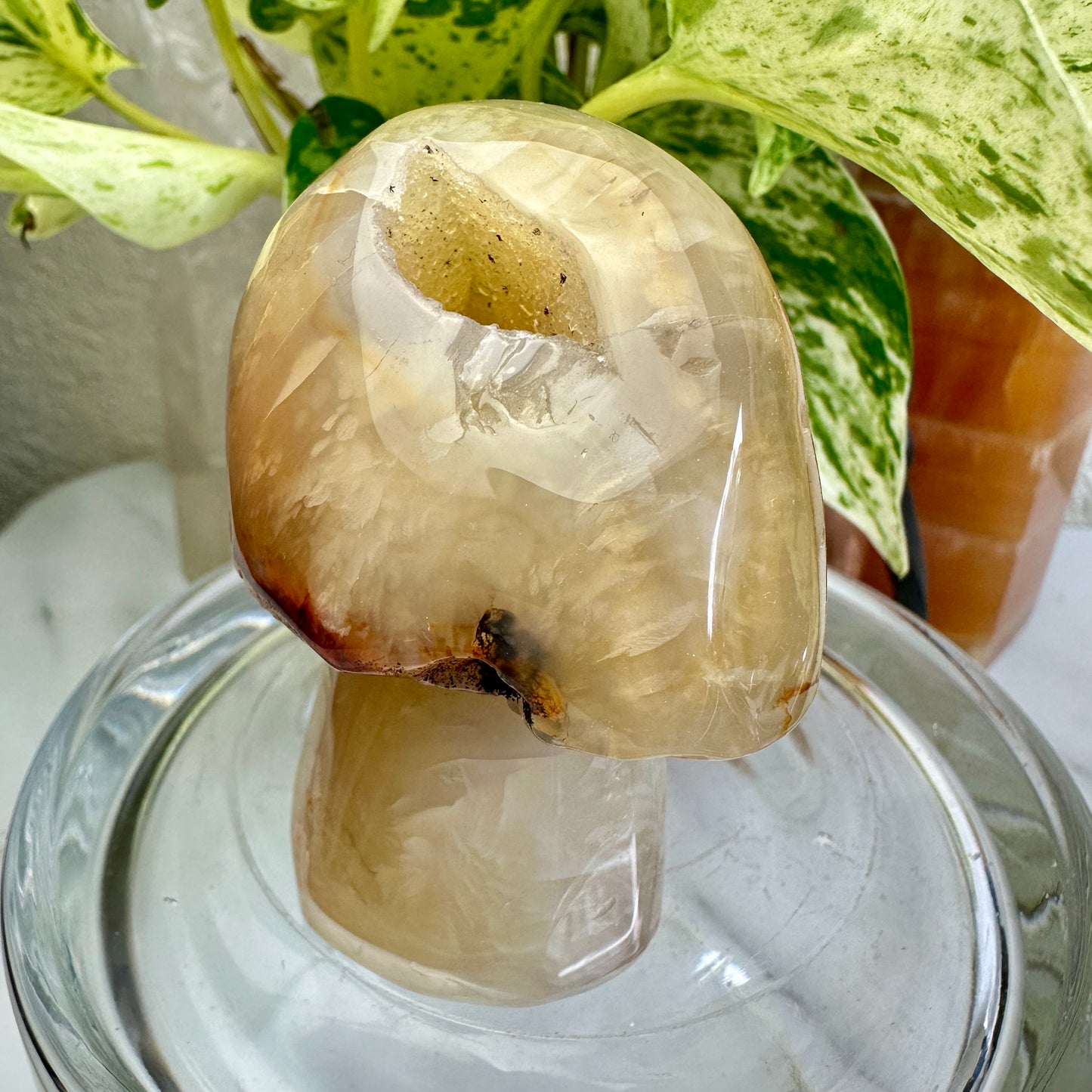 Agate Musbroom - 3 inch, 8oz