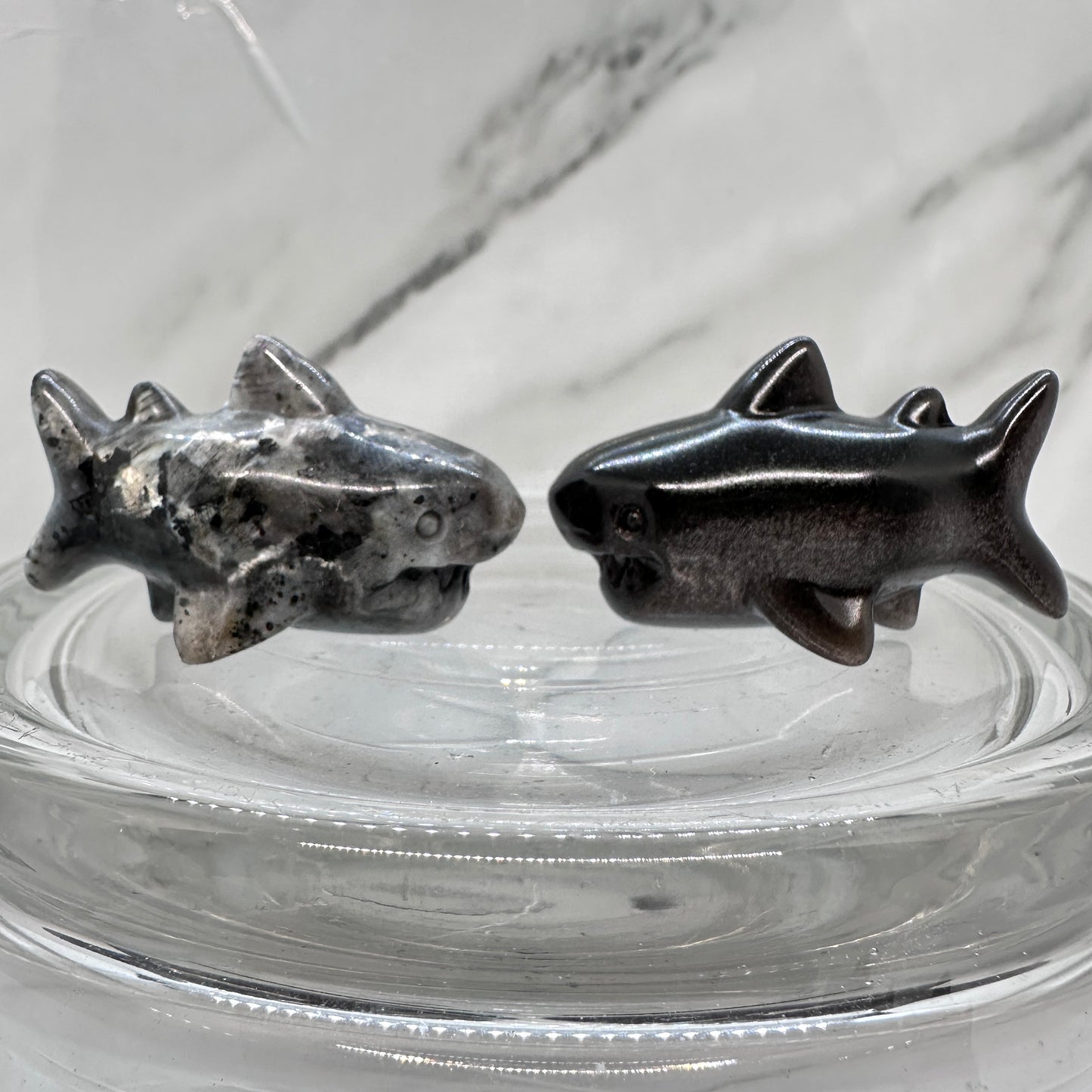 1.6in Crystal Shark - Katie's Mystic Crystals