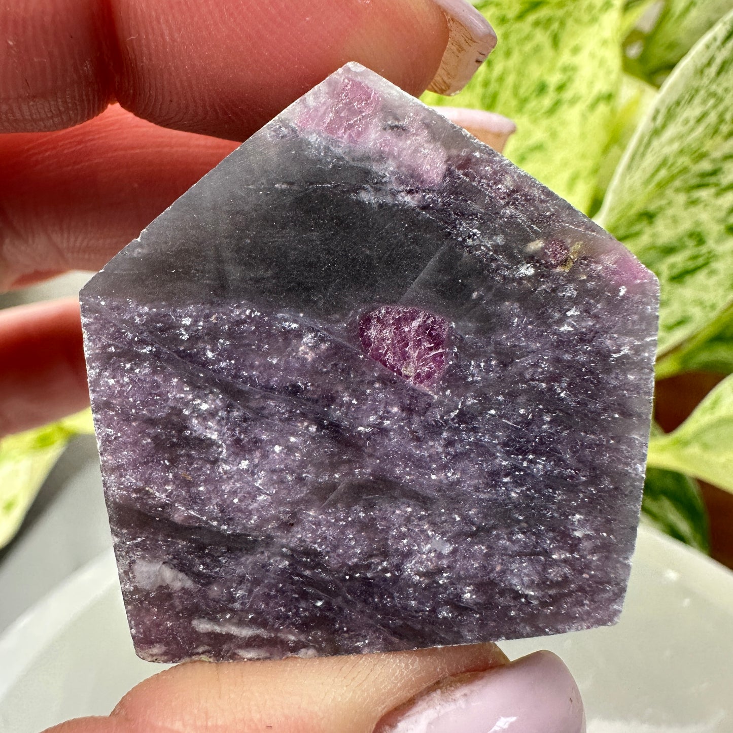 Unicorn Stone Gushers (Freeforms)
Emotional Healing | Soothing | Inner Magic
