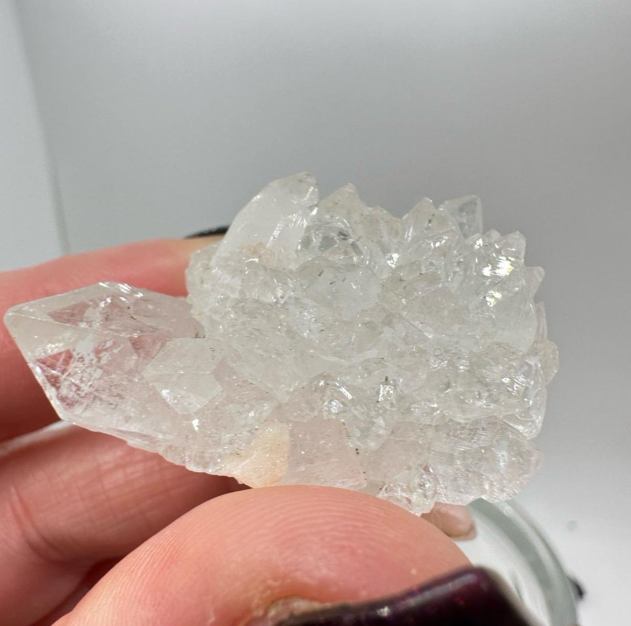 Apophyllite Specimen - India